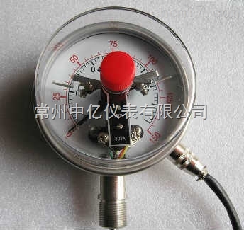 耐震電(dian)接點雙(shuāng)金屬溫(wēn)度計廠(chang)家