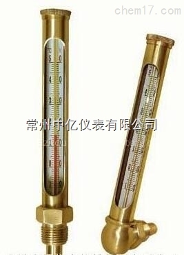 WNY-11銅(tóng)金屬套(tào)溫度計(jì)廠家