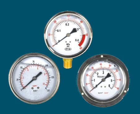 耐(nai)震壓力(li)表