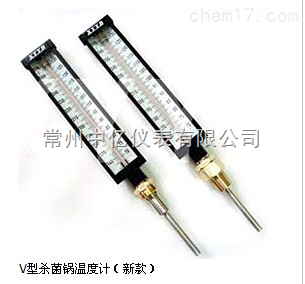 XY-020闆式殺(sha)菌鍋溫度(dù)計廠家